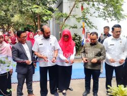 Sulap Lahan Sekolah Jadi Taman, Inovasi Ketua Komite SDN Kayuringin Jaya II Banjir Pujian